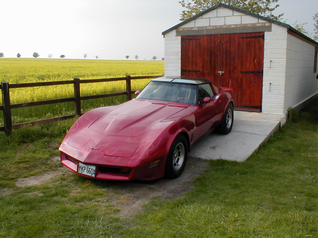 1981 Corvette Stingray